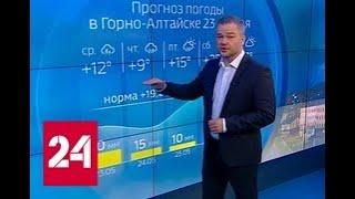 "Погода 24": на Алтае ожидаются экстремальные дожди - Россия 24