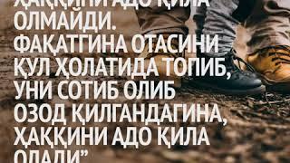 Abdulloh domla Qalb nuri   Dunyo hayoti