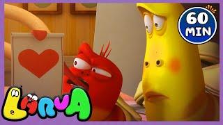 Larva New 2020 