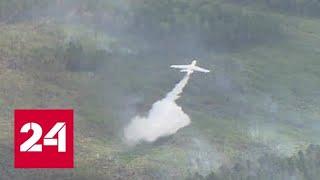 Помог дождь: в Якутии сократилась площадь лесных пожаров - Россия 24