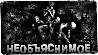 СТРАШНЫЕ ИСТОРИИ: НЕОБЪЯСНИМОЕ
