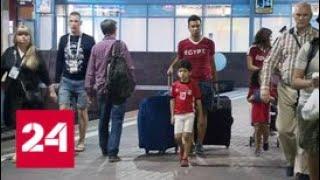 Россияне и египтяне едут в Петербург: репортаж из фанатского поезда - Россия 24