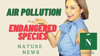 Air Pollution Kills Millions, Climate Change & Scary Animals - Nature News