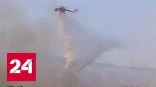 Греческий остров Эвбея захвачен мощным лесным пожаром - Россия 24