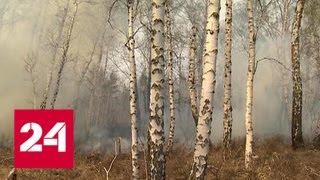 Забайкалье продолжает гореть - Россия 24