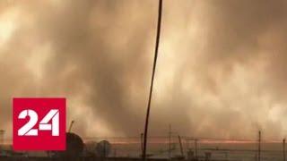 В Забайкалье завели уголовные дела из-за масштабных лесных пожаров - Россия 24
