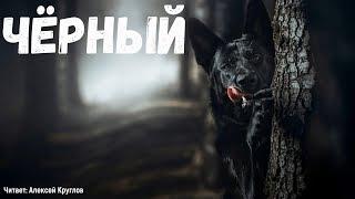 Чёрный. Страшные истории.