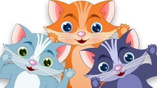 Три маленькие котята | Популярные детские стихи для детей