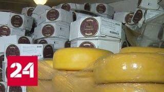Два склада санкционного сыра: как запрещенный товар попал в Москву - Россия 24