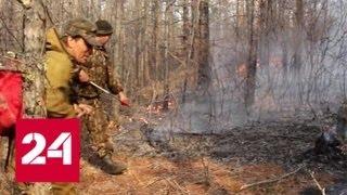 В Иркутской области бушуют лесные пожары - Россия 24
