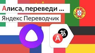 Яндекс Переводчик в Алиса, Станция и Irbis A. Лучше чем Google Ассистент и Siri?