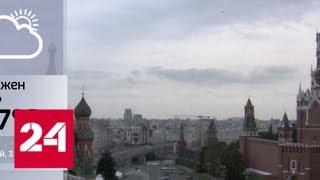 Первый понедельник осени в столице выдался необычно жарким - Россия 24
