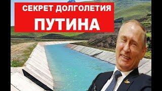 Путин смотрит украинские СМИ вместо КВН