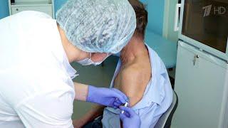 18 января в России начнется массовая вакцинация от COVID-19.
