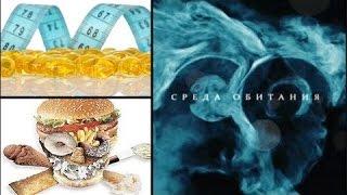 Война жиров - Среда обитания | Документальный фильм