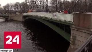 В Петербурге реставрируют знаменитых грифонов с Банковского моста - Россия 24