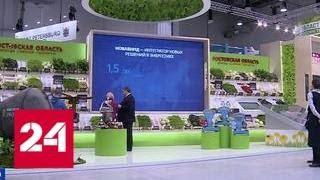 На инвестиционном форуме в Сочи предлагают вложить деньги в капусту - Россия 24