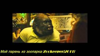 Фильмы которые стоит посмотреть
