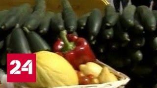 Экспорт фруктов и овощей: Испания не смогла заменить Россию - Россия 24