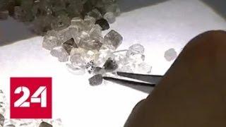 Задержаны похитители алмазов компании "АЛРОСА" стоимостью 22 миллиона рублей - Россия 24