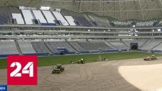 На самарском стадионе к Чемпионату мира сошьют газон - Россия 24