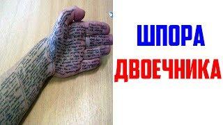 Лютые приколы, мемы. Шпора Двоечника