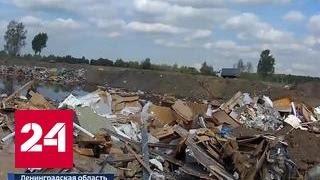 Ядовитый бизнес: как в России идет война за мусор