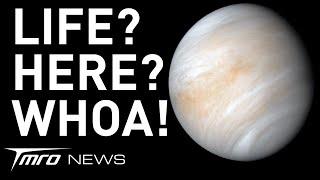Life at Venus? | TMRO:News Special
