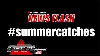 ASFN News Flash #summercatches