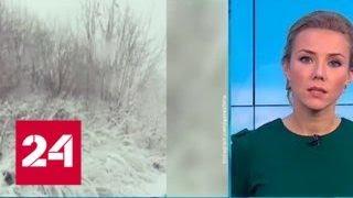 "Погода 24": экс-ураган Герварт смещается в сторону Урала - Россия 24