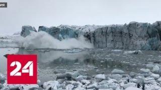 В Исландии туристы едва не погибли, снимая айсберг - Россия 24