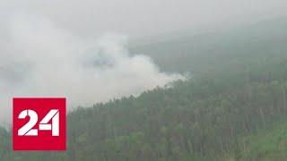 В зоне задымления от лесных пожаров в России находятся более 800 населенных пунктов - Россия 24