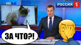 TV: Школьник из Кузбаса изобрел Парашют ДЛЯ КОТА! ЧТО бЛ?!