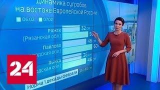 "Погода 24": морозы в Сибири ослабеют - Россия 24