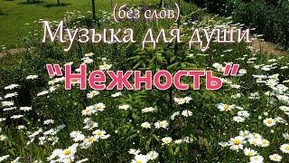 Музыка для души: "Нежность" (инструментальная)