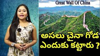 Why the Great Wall of China was Built | Interesting Facts | Brilliant Questions #02 | Brilliant boss