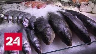 Жарить, варить и солить: Роспотребнадзор не советует употреблять сырую рыбу - Россия 24