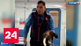 В столичной подземке котенка достали с рельсов через люк в полу вагона - Россия 24