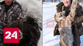 Расстрел спящего медведя: чиновниками занялся Следком - Россия 24
