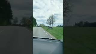 Самое трогательное видео года вам для настроения! Мамы они такие....