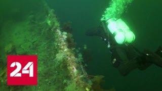 Водолазы Росгвардии отработали захват диверсантов под водой - Россия 24