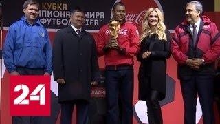 Кубок чемпионата мира по футболу доставили во Владивосток - Россия 24