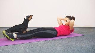 Фитнес Тренировка Дома С Собакой Приколы с животными Упражнения для поднятия настроения dachshund