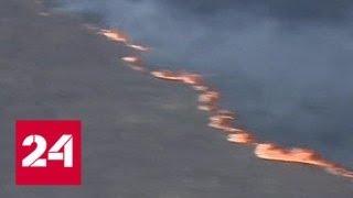 Площадь лесных пожаров в России снижается - Россия 24
