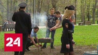 Московским любителям пикников в неположенном месте придется оплатить штрафы - Россия 24