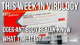 TWiV 677: Does antibody really know what time it is?