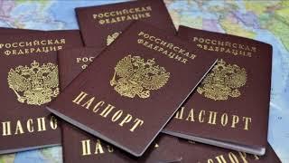 Директор МФЦ России развеял слухи об "особых паспортах РФ" жителям ДНР и ЛНР
