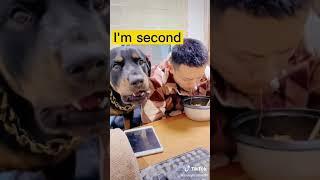 Funny Dog Reaction | Doggy want to eat ramen