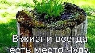 Доброе утро!Всем хорошего настроения!!!