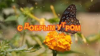 С Добрым Утром